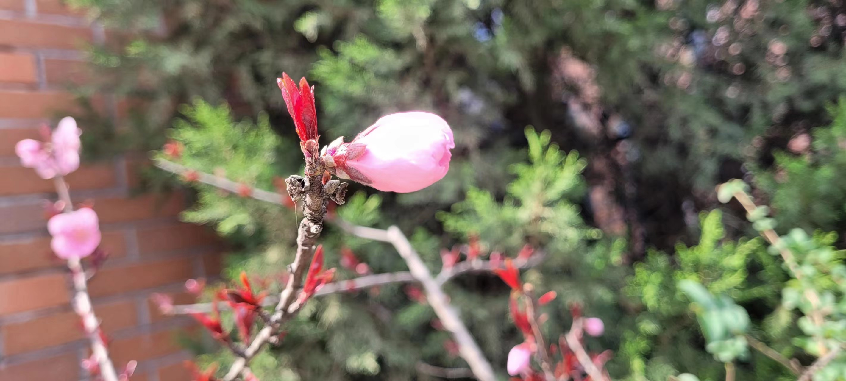 長(cháng)信科技產(chǎn)業(yè)園 長(cháng)信科技產(chǎn)業(yè)園