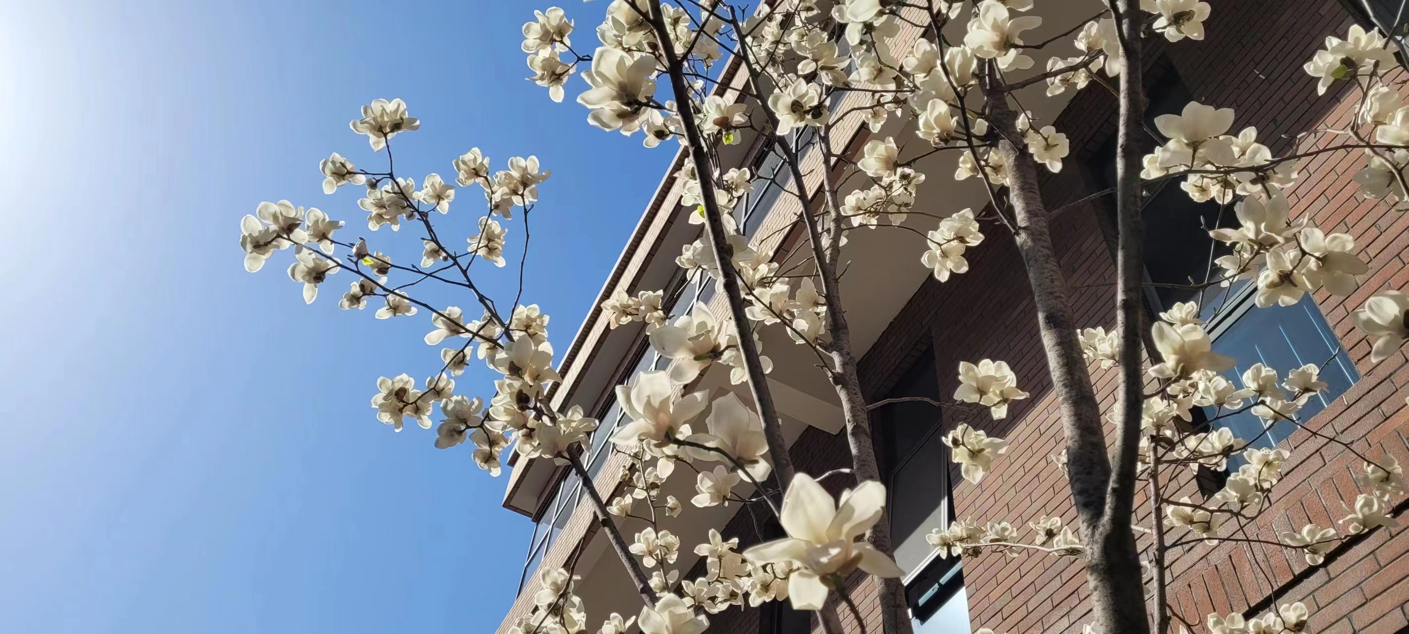 長(cháng)信科技產(chǎn)業(yè)園 長(cháng)信科技產(chǎn)業(yè)園