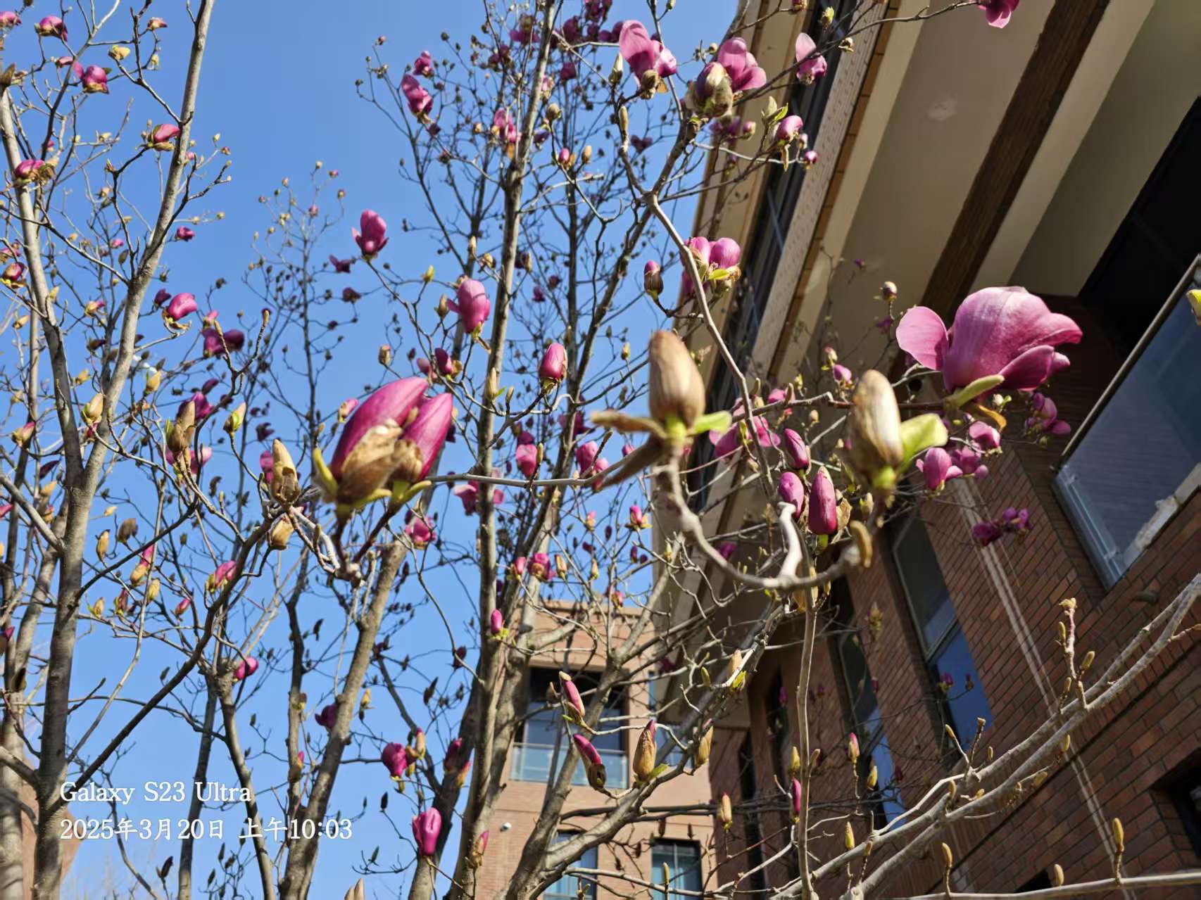 L(chng)ſƼa(chn)I(y)@